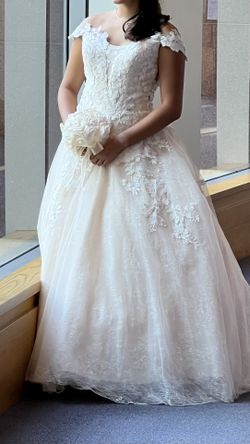 Quinceanera / Wedding Dress