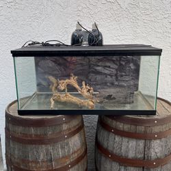 Terrarium For Gecko And Bearded Dragons 