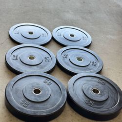 Brand New Bumper Plates