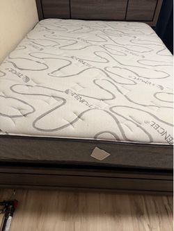 Mattress and Box Springs Queen.