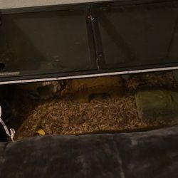 Jaula Para Serbientes 