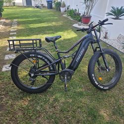 Electric bike