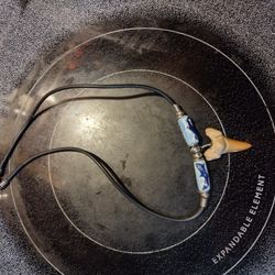 Real Shark's Tooth Necklace 