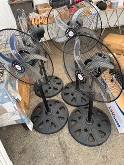 Fan