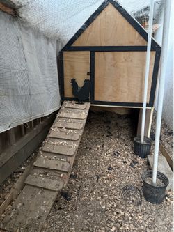 Chicken Coop