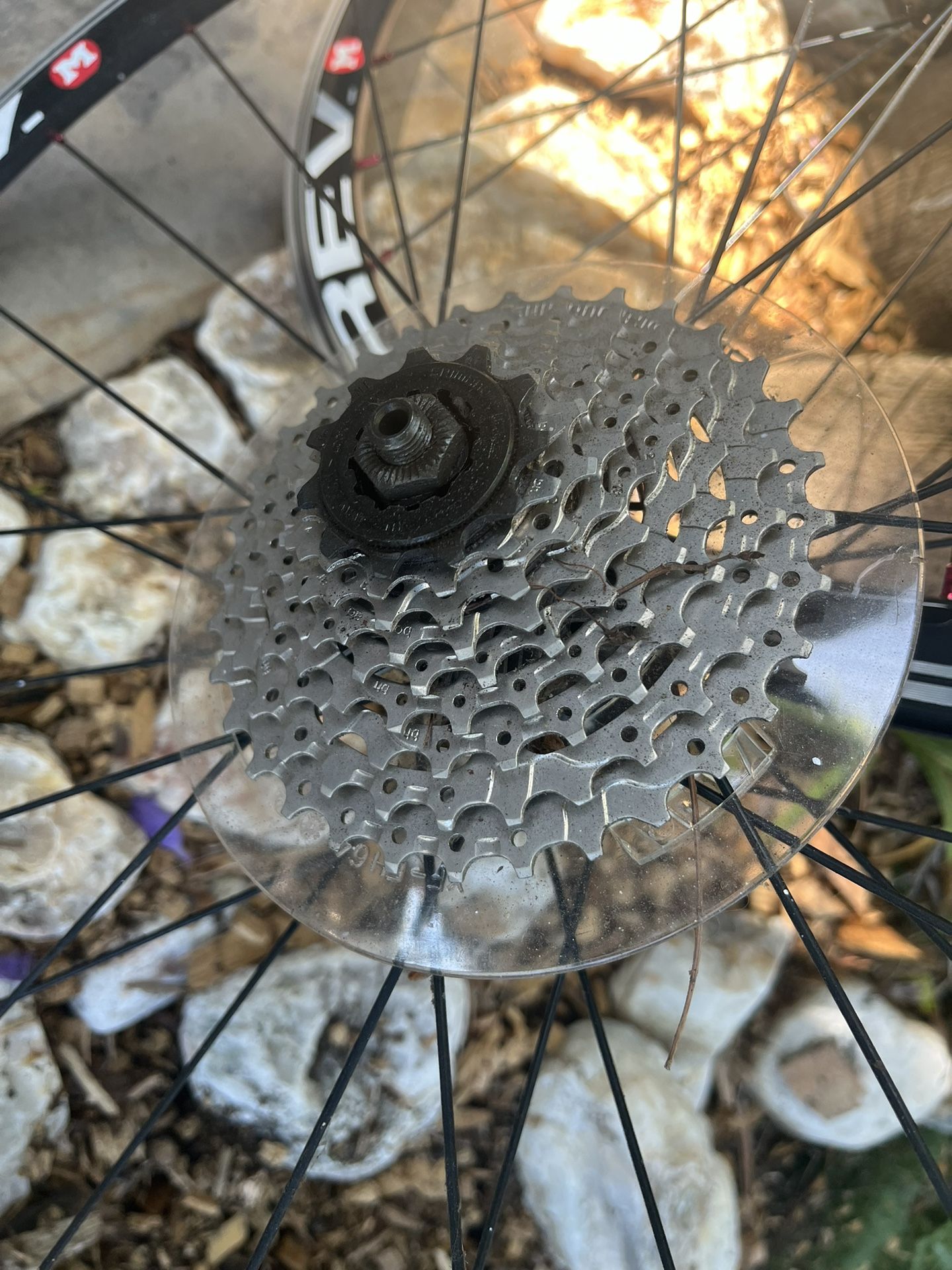 New 700c Rear Masi Wheels