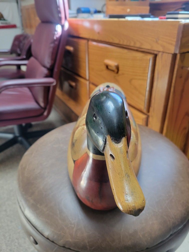 TomTaber Ducks