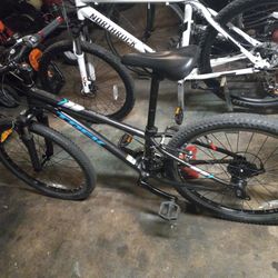 Trek Bike