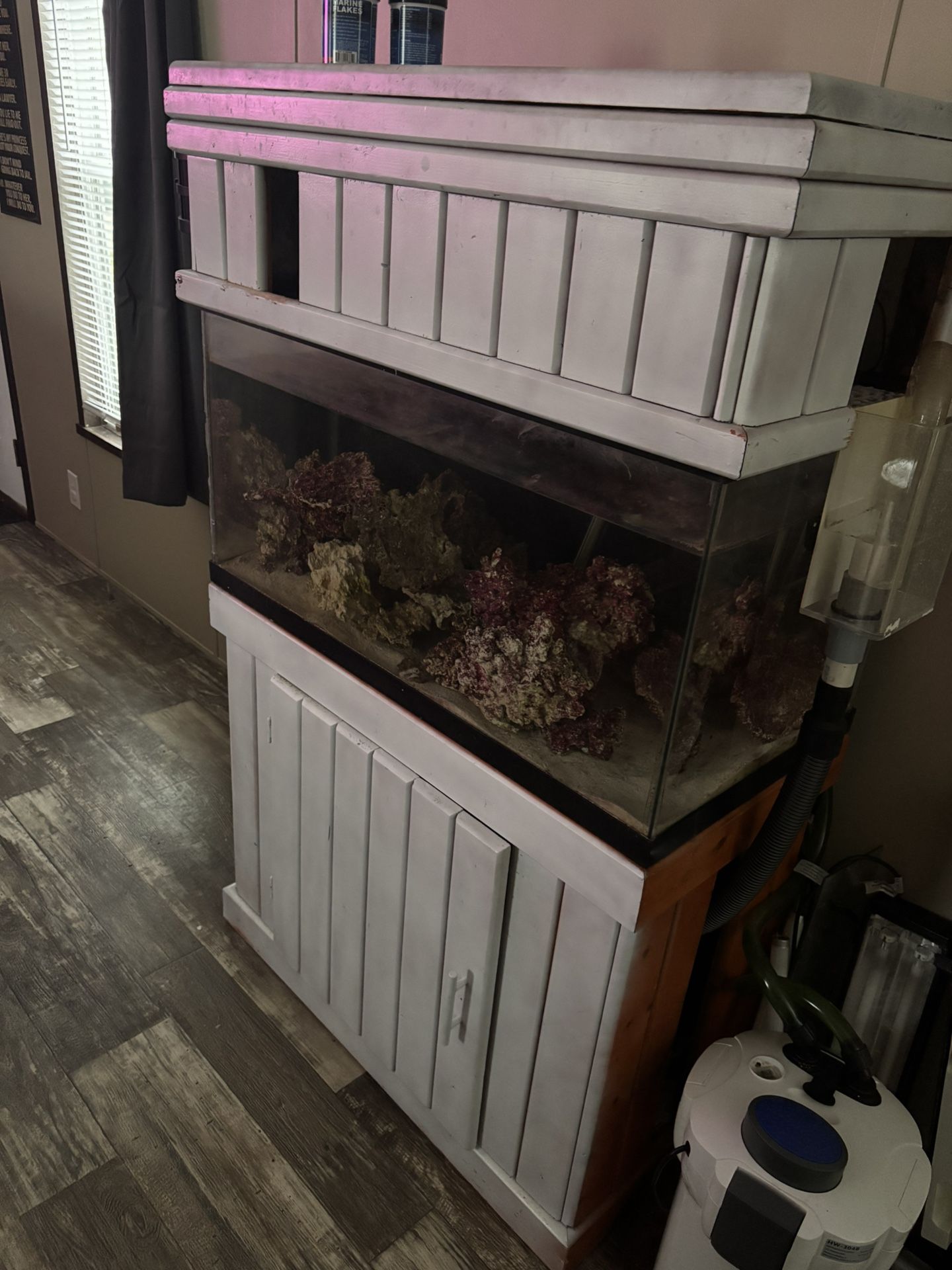 55 Gallon Breeder Setup Saltwater Tank