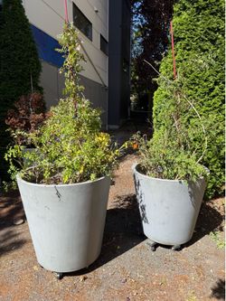 Set of 2 Large Grey Tapered Planter Pot