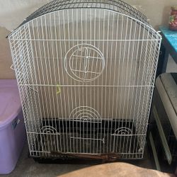 Bird Cage