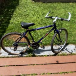 Ironman Triathlon Pro 21 Speed Bicycle.