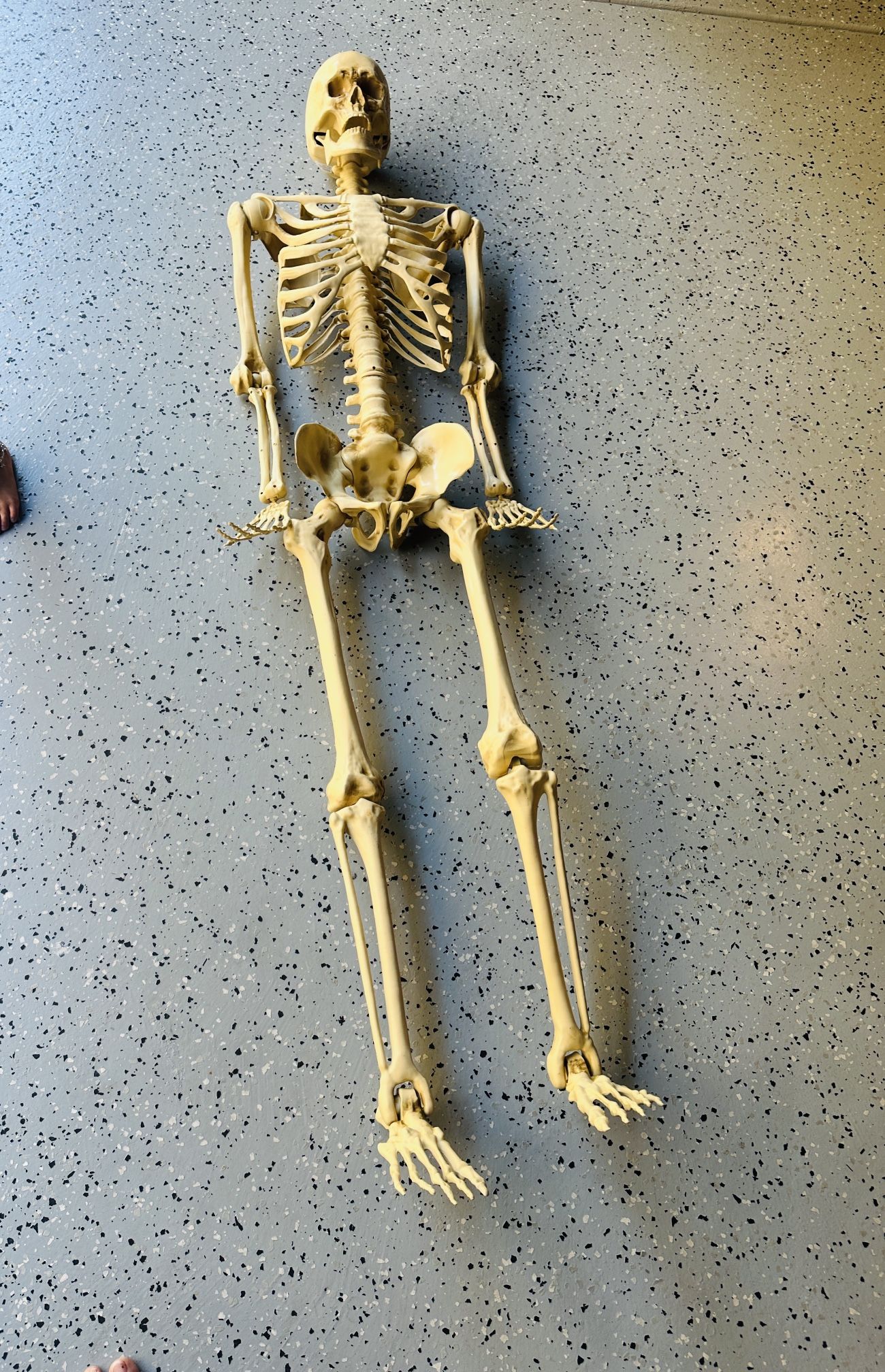 Halloween Decor Skeleton
