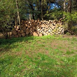Season Maple Firewood 2 Corde