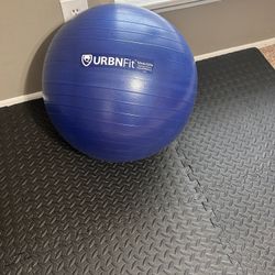 Exercise Ball – Yoga Ball for Workout, Pregnancy, Stability & More 🚨