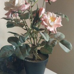 Fake Rose Plant.