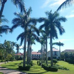 Royal  Palms And Tree Trimming 