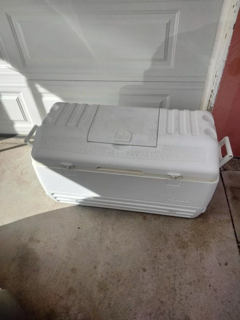 Large Igloo Cooler 
