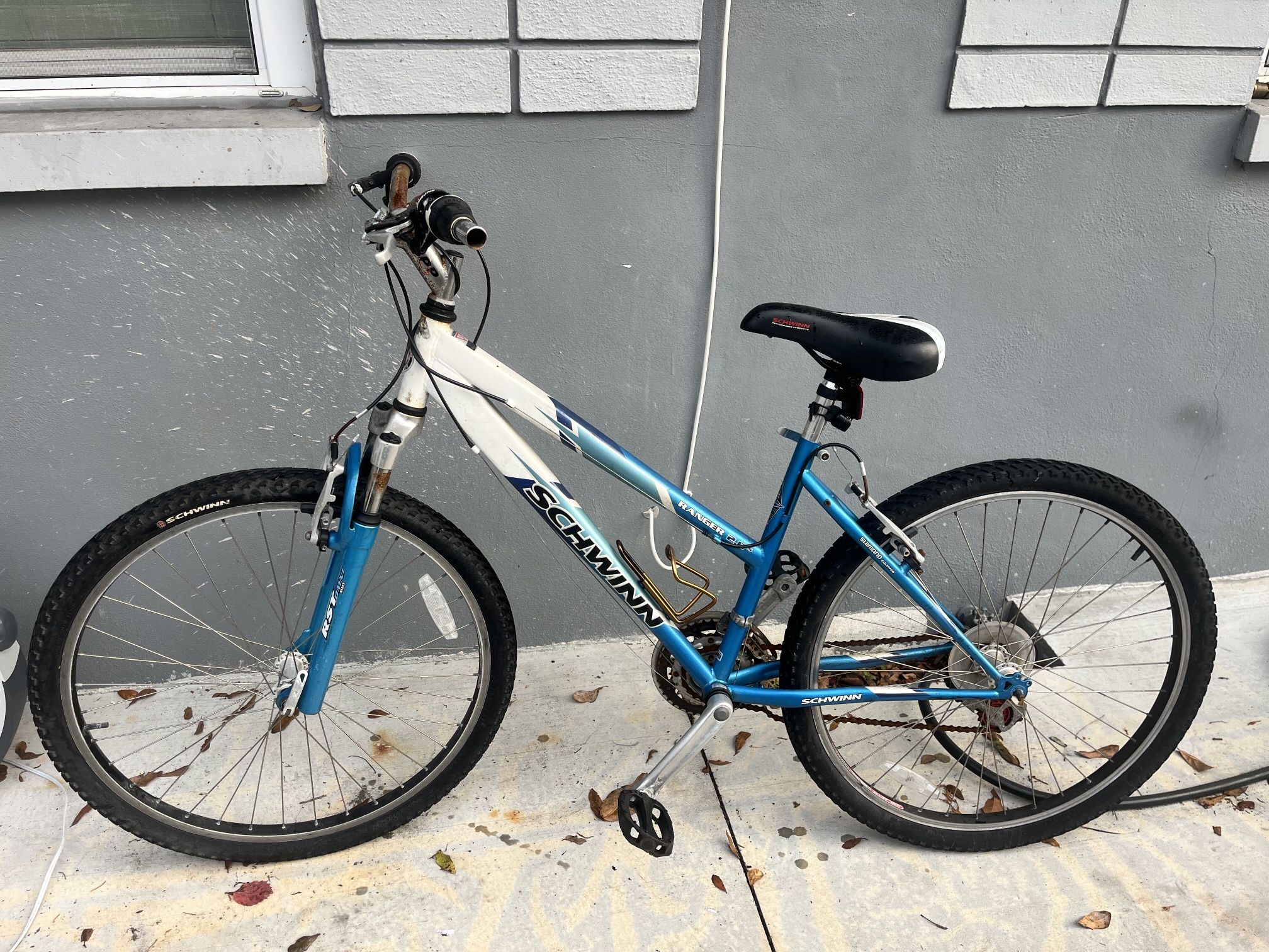 Schwinn Bike