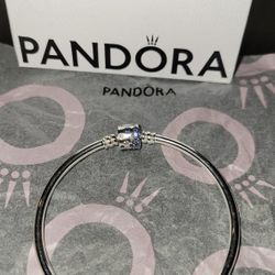 Pandora Charm Bracelet 