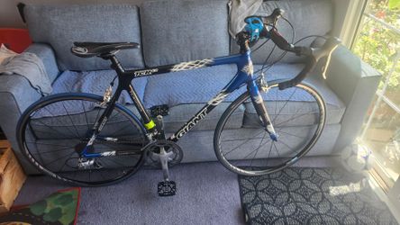TCR c2 Giant 700obo