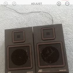 Indoor wired Speakers 