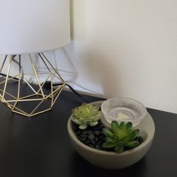 Succulent Scentsy Wax Warmer