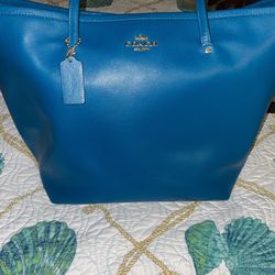 Large Coach Bag For Sale 