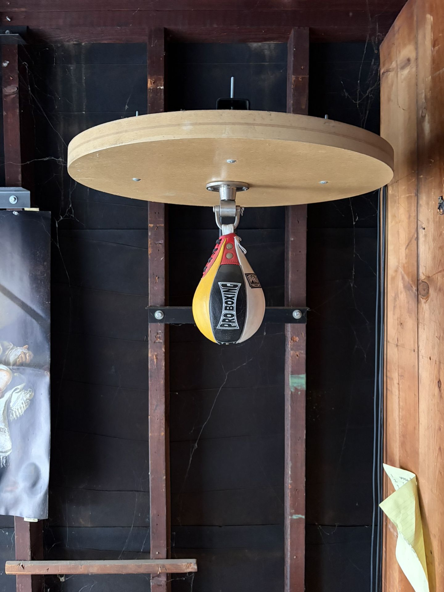 Pro Boxing Supply Speed Bag, 80 Lb Heavy Bag, Title Interval Timer