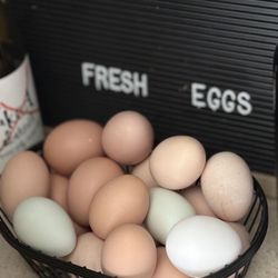 Fresh Eggs 
