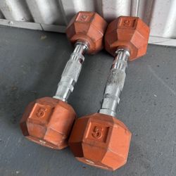 10 LB Rubber Hex Dumbbells