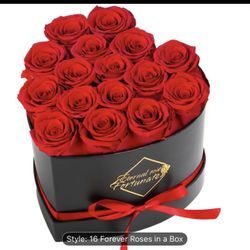 Forever roses Valentine’s Day gift 16 preserved Roses