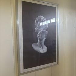 Large Silver Framed Art 