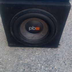 10 in PB Subwoofer with box / Performance Teknique amp