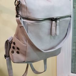 Backpack Or Handle Carry Purse