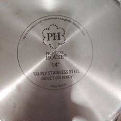 Sarten Solo Se Iso Para Demostraciones