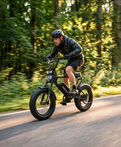 Meelod Fat Tire Electric Bike