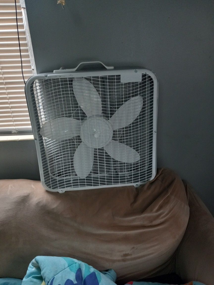 Fan
