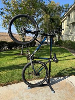 Trek Bike with Stand – Large