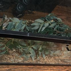 Aquarium/ Reptile Enclosure 