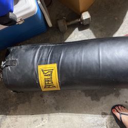 Everlast Heavy Bag