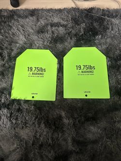 19.75 LB Plates for weighted vest