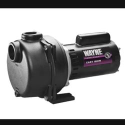 Wayne 1-1/2 HP Cast Iron Quick-Prime Lawn-Sprinkler Pump @8