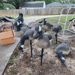 Decoys