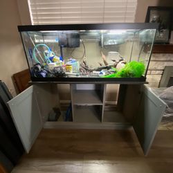 75 Gallon Fish Tank