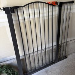 Outdoor dog Gate 