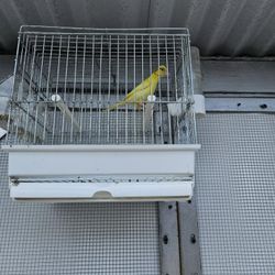 Bird Cage Jaula De Canario 