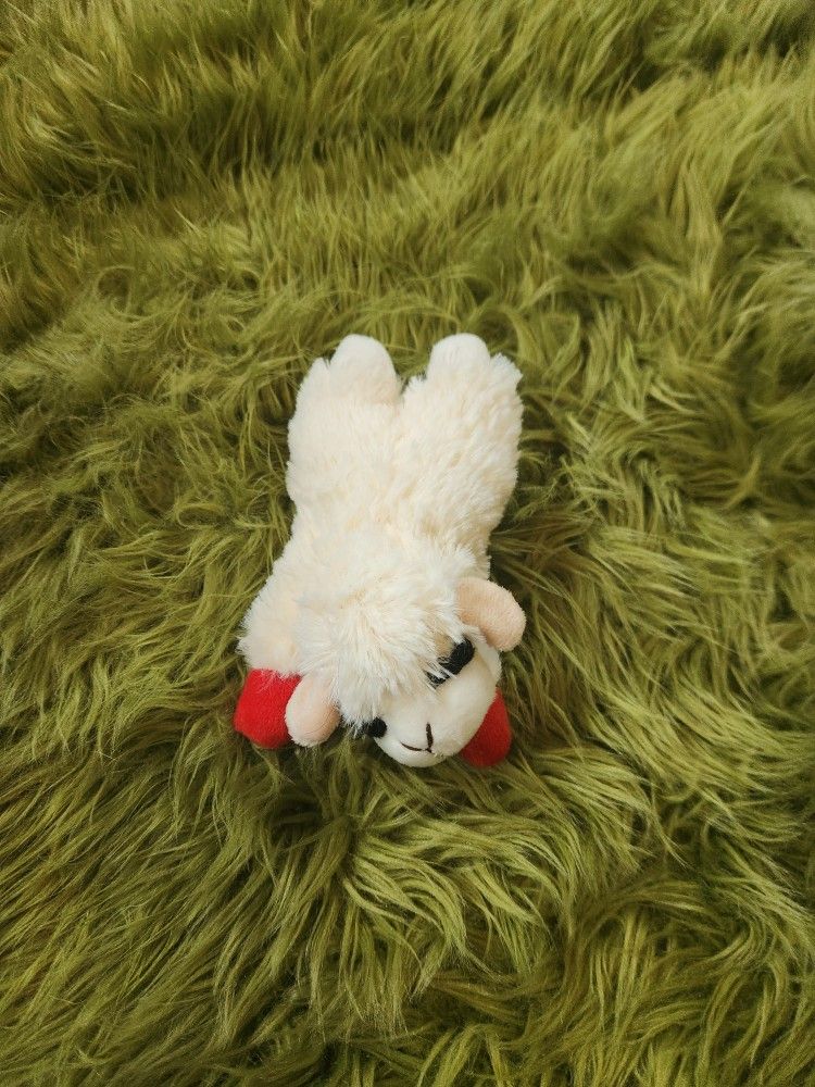 Small Lambi Dog Toy W Squeaker
