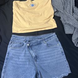 Medium Jean Shorts 