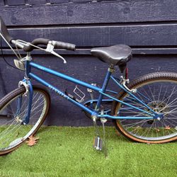 Used Nishiki Bike